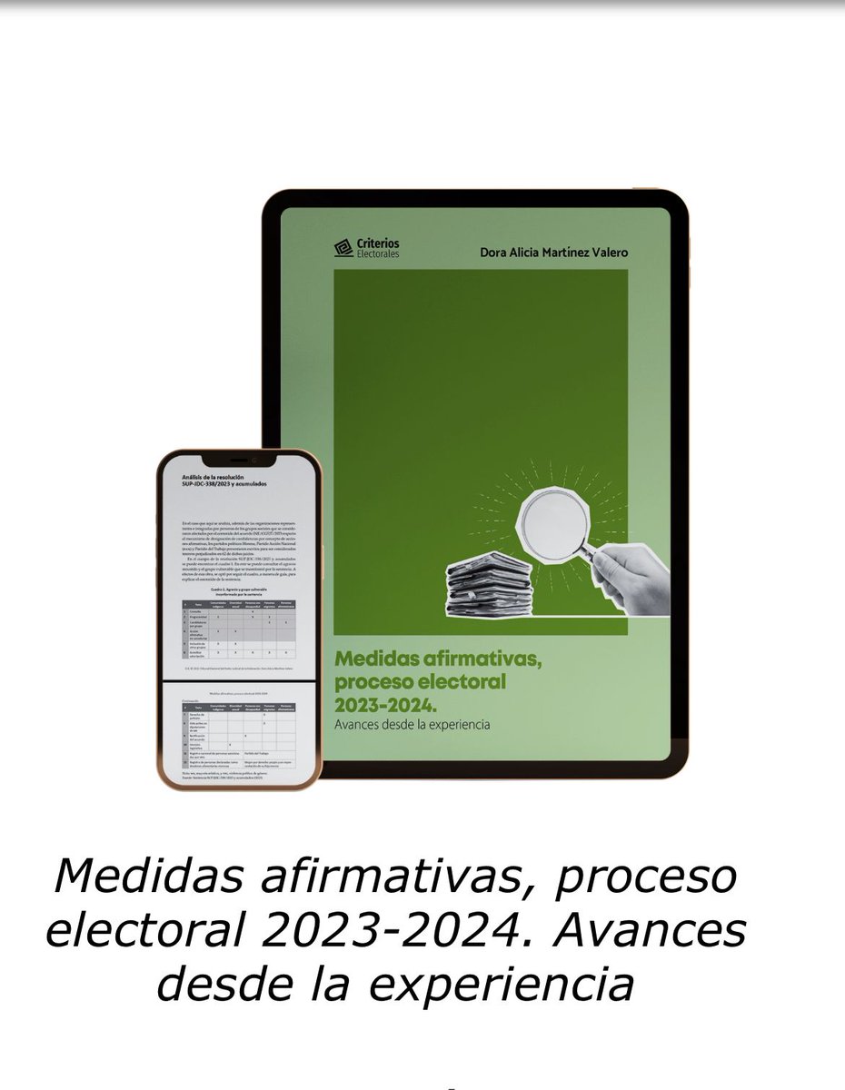 📘 Nueva publicación de la colección Criterios Electorales:
Medidas afirmativas, proceso electoral 2023-2024 de <a href="/dmartinezvalero/">Dora Martínez Valero</a>
.

Un análisis sobre inclusión, diversidad y representación en el Congreso.

🔗 Descárgalo aquí: te.gob.mx/editorial/obra…