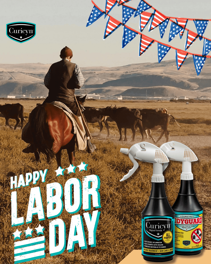 Curicynproducts's tweet photo. Hardworking animals deserve hardworking care.
From #ServiceDogs to #RanchHorses, #Curicyn is proud to support those who give their all. We are here every day to help your animals heal and thrive.

Trusted by professionals. Backed by results.
#AnimalWellness #FarmLife https://t.co/PyfpKcpNvH
