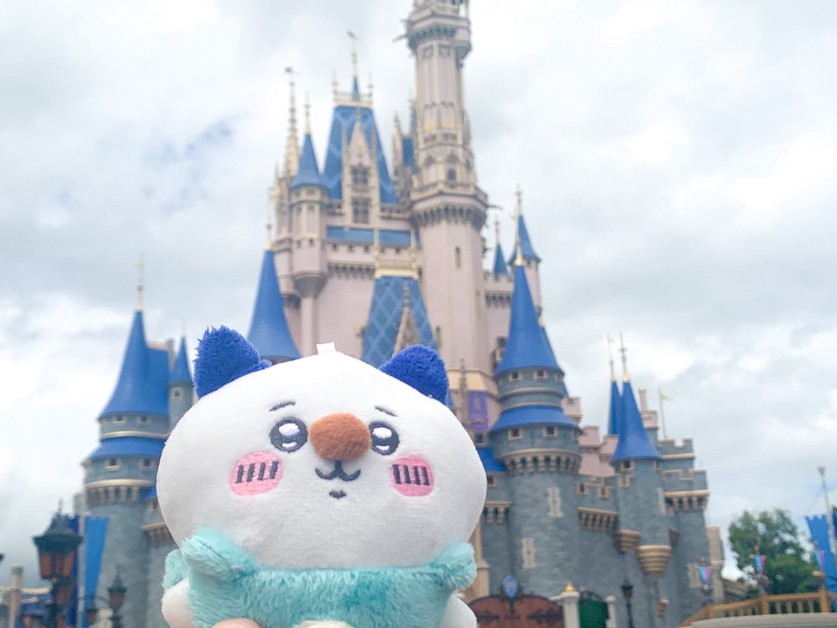 Wott Disney Worl….