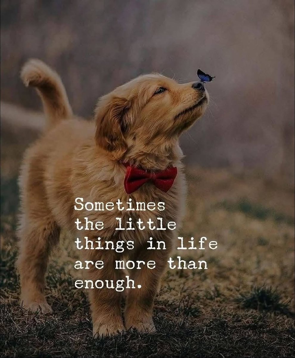 Mind Essentials (@mind_essentials) on Twitter photo 