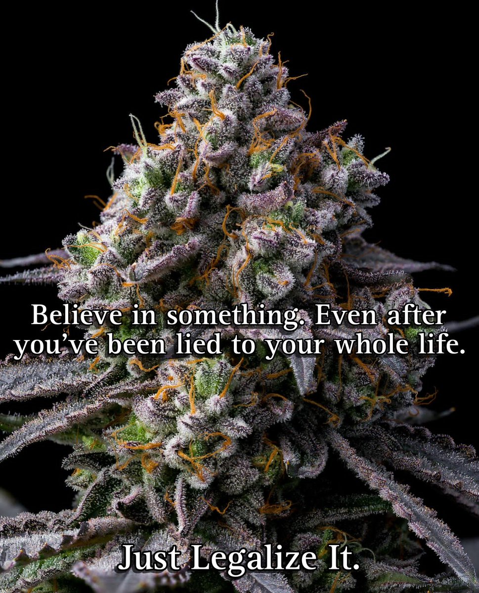 APsychedelics's tweet image. It&apos;s time to #LegalizeIt 🌱