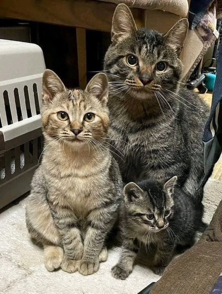 ファミリー！☺️🌈