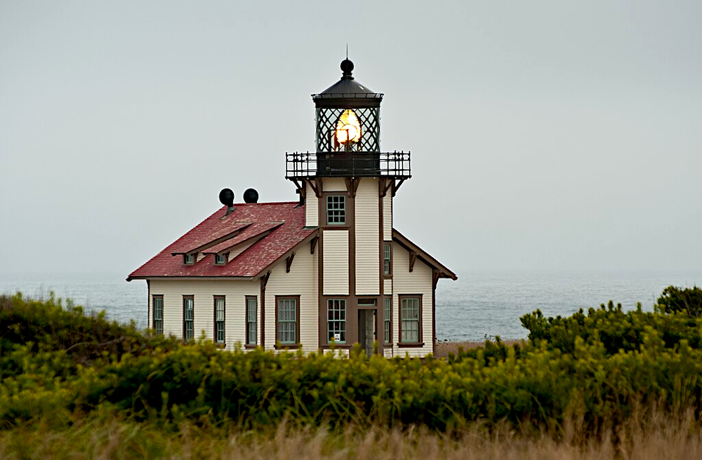 Leopard Lady tweet media