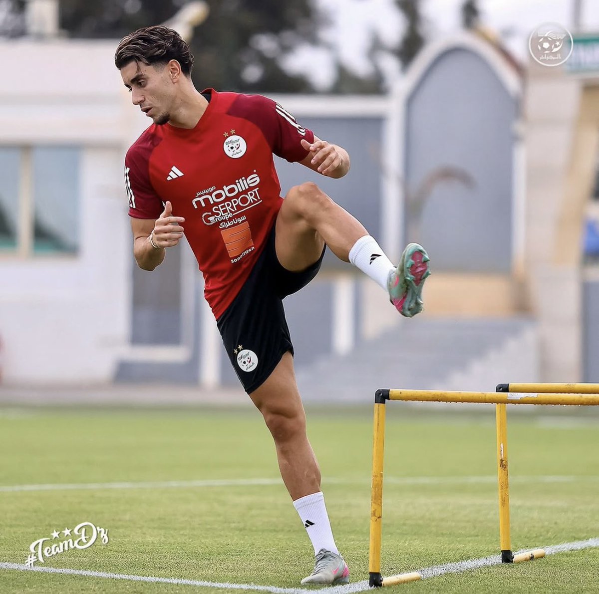 Nos joueurs 🇩🇿