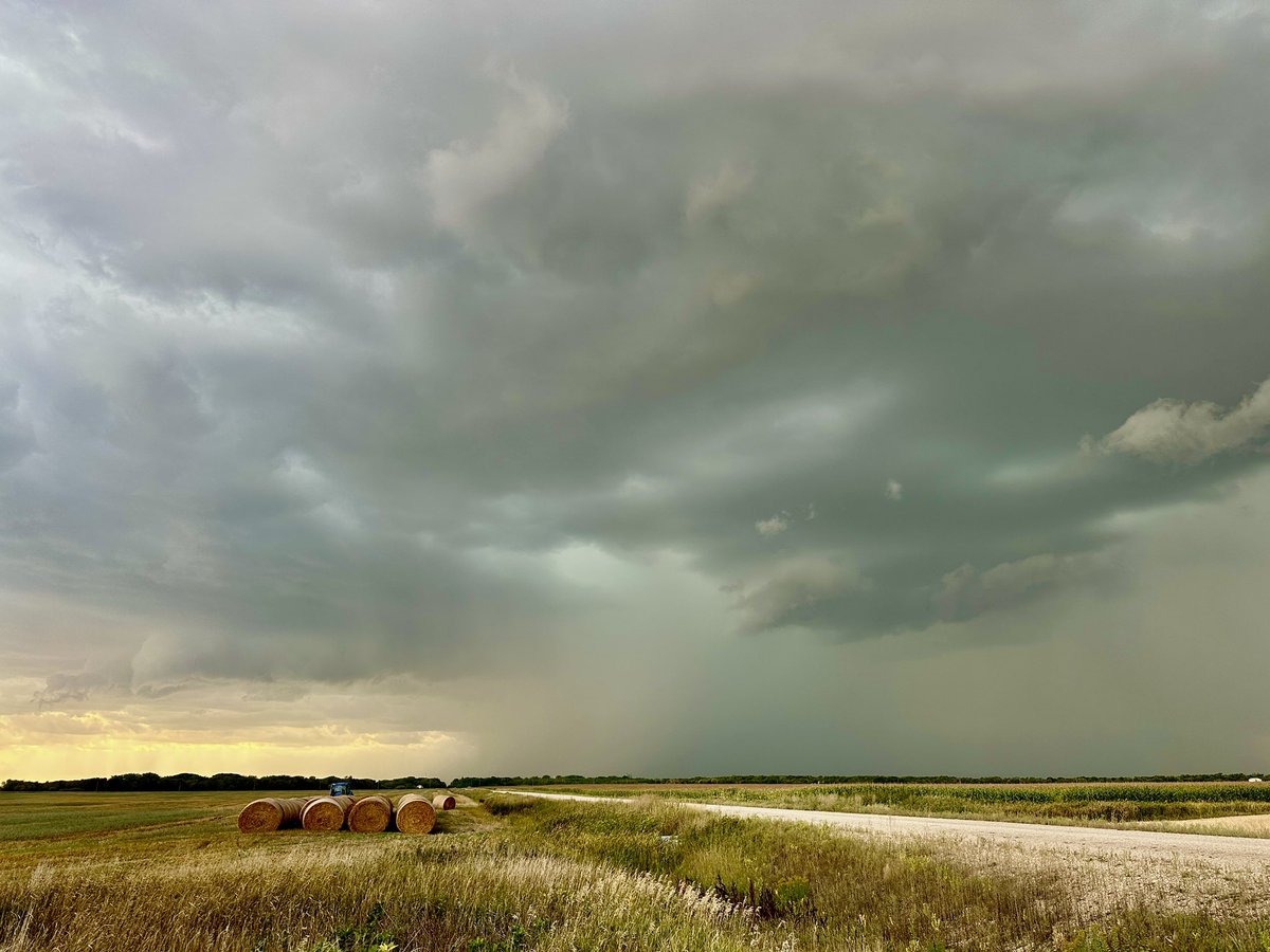 Cory Penner tweet media