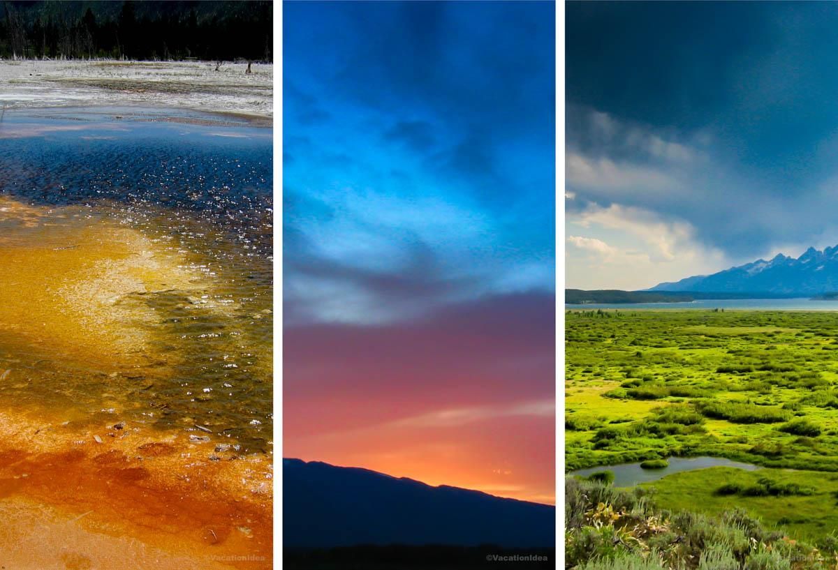 Ema Vacation Idea tweet media