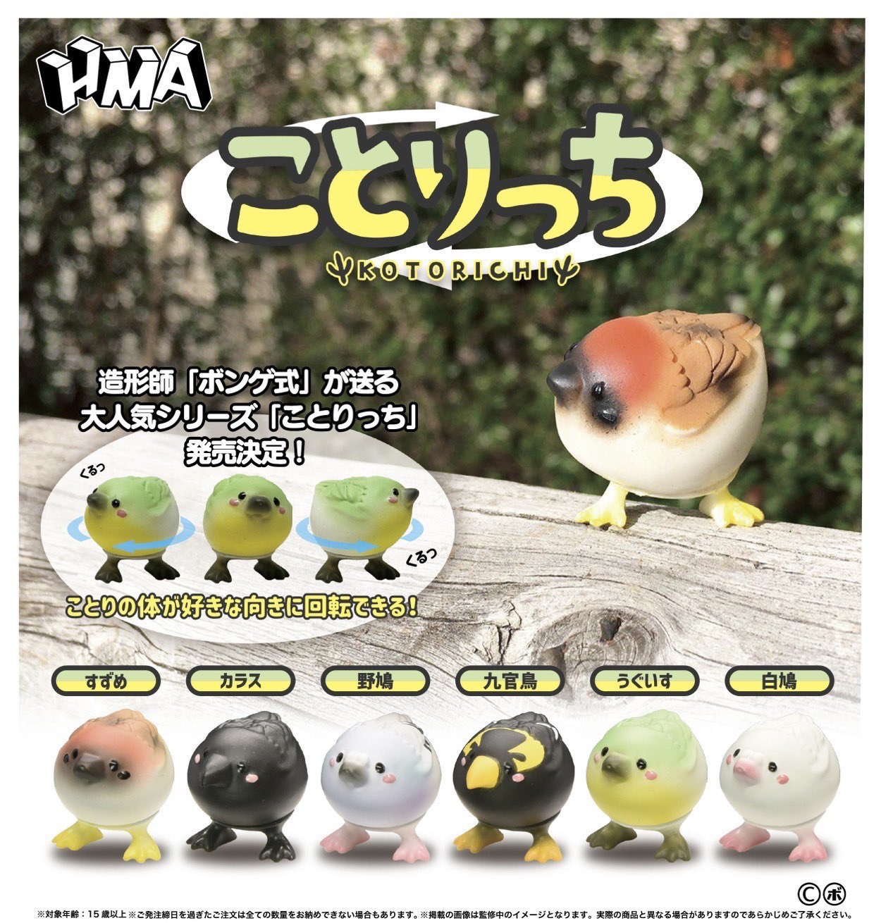 【ぽんず☆】ことりのおおきなあそびば Amazon.co.jp: にほんごであそぼ 私と小鳥と鈴と [DVD