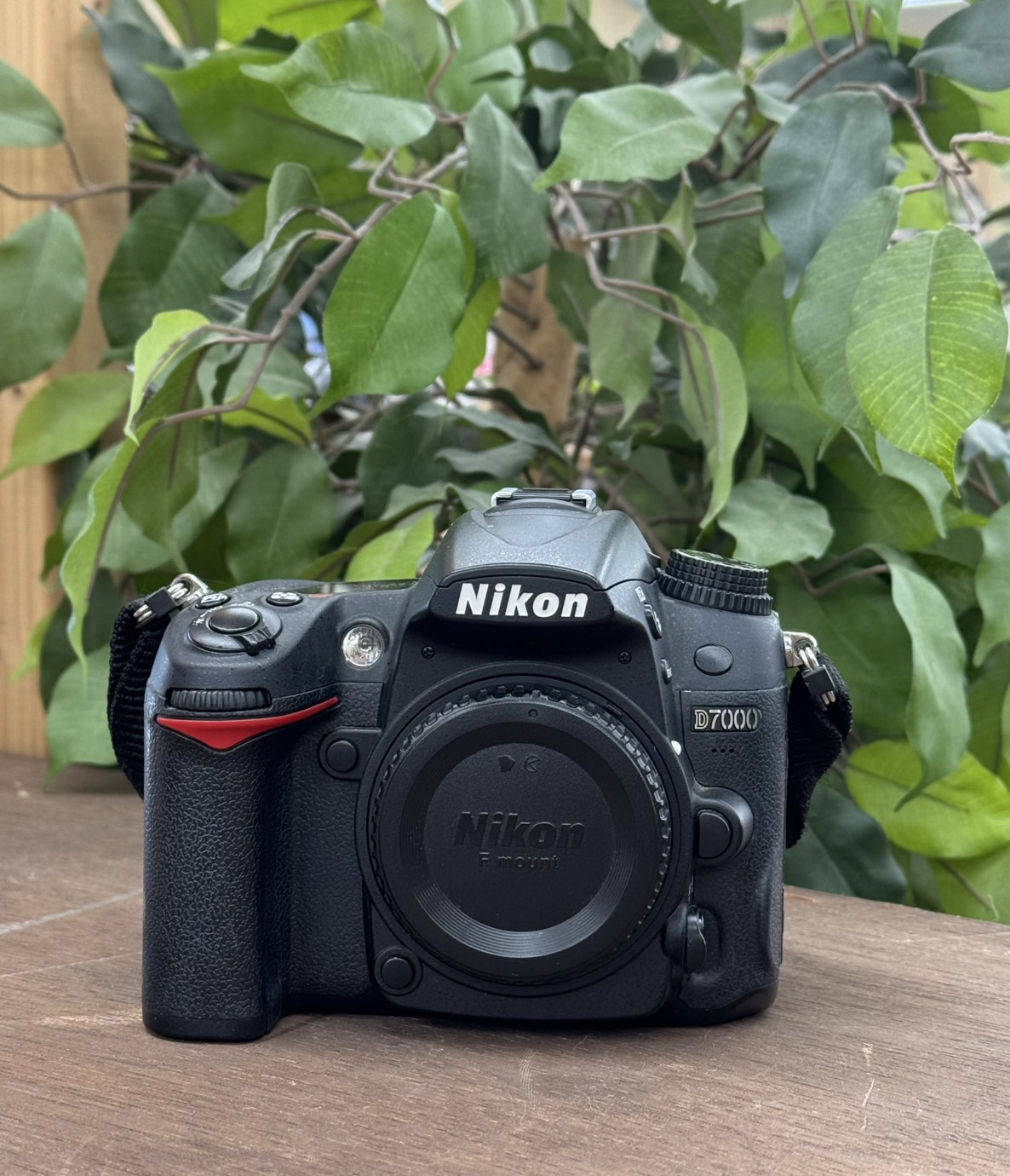 日曜日セール‼️Nikon D7000 デジタル一眼レフカメラ　作動⭕️ Amazon | Nikon D7000 16.2メガピクセル デジタル一眼レフカメラ