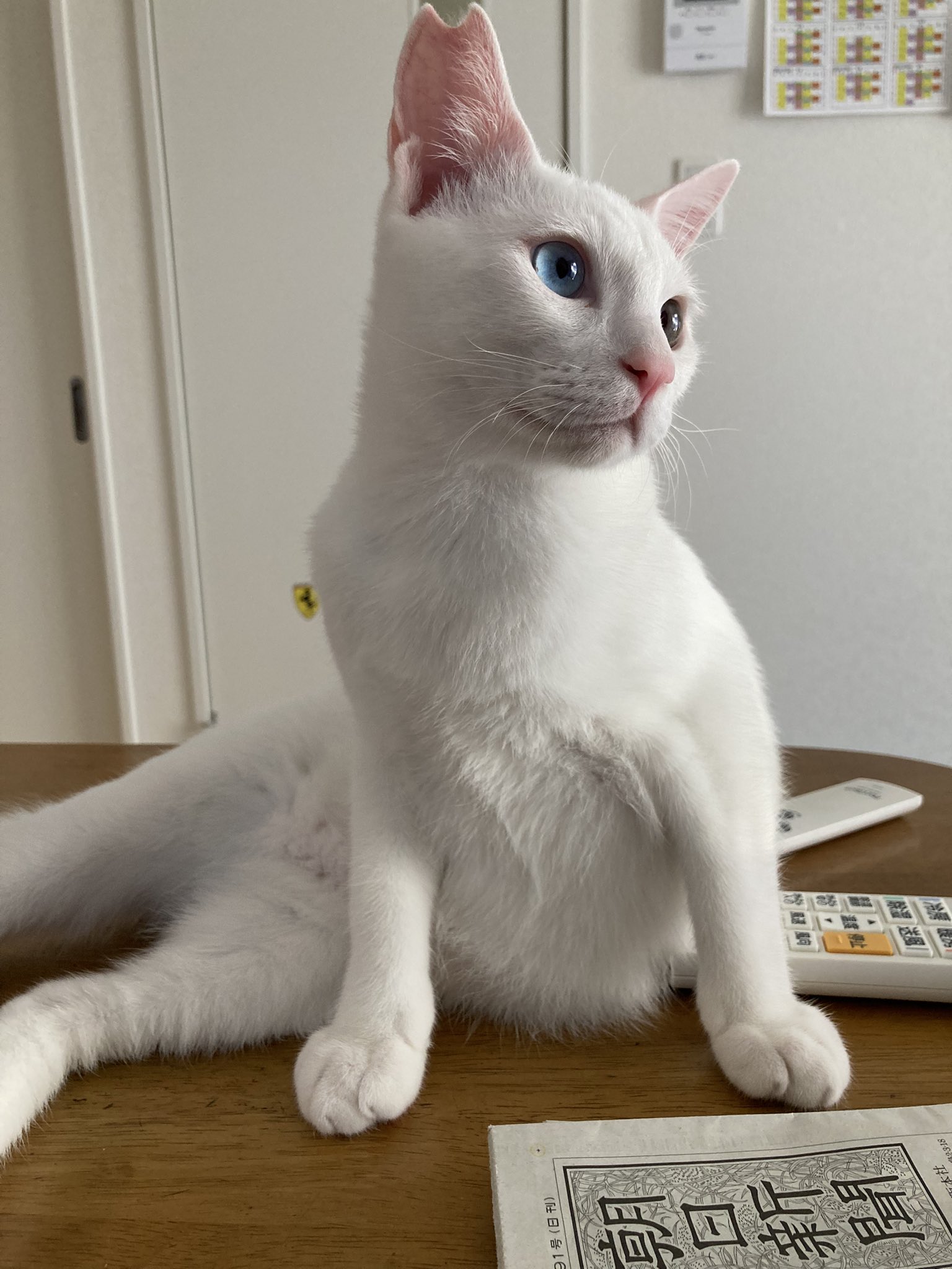 HIROTAKAfeat萌華(HORIZON) on X: 