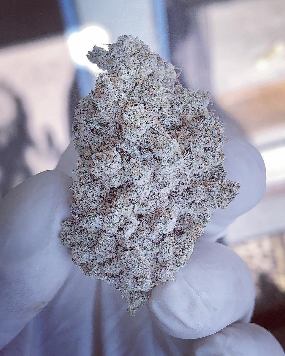 STONERS R US 🍃 tweet media