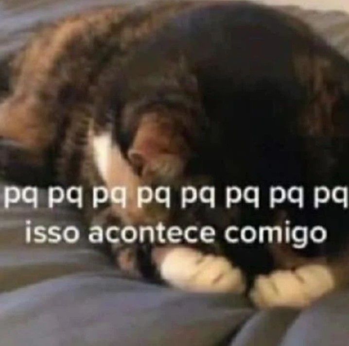 animais com frases aleatorias tweet media