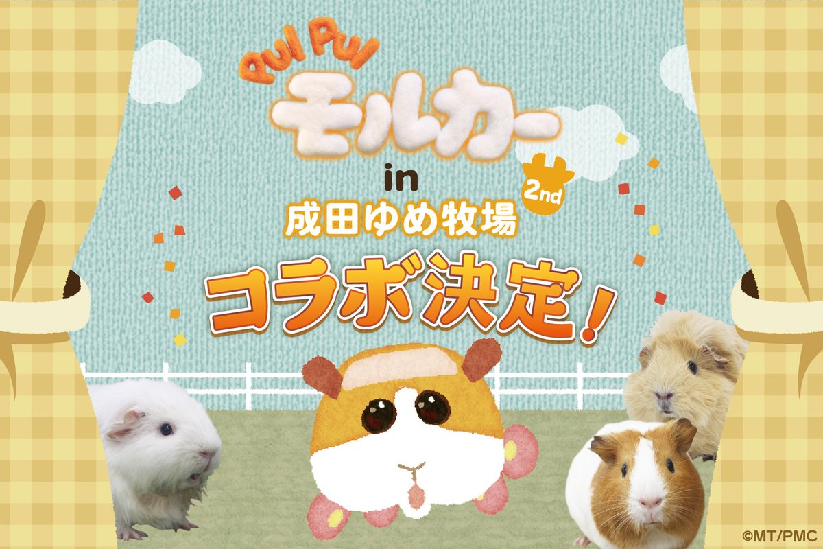 PUI PUI モルカー【公式】 (@molcar_anime) on Twitter photo 『PUI PUI モルカー』 ×
千葉県・成田市の牧場 #成田ゆめ牧場
2025年秋、コラボ第2弾の開催が決定!🎉🎉
詳細の情報解禁をお楽しみに!
🥕期間
2025年10月4日(土)~11月3日(月・祝)
#PUIPUIモルカー <a href="/yumebokujo/">成田ゆめ牧場のゆめこちゃん</a> 『PUI PUI モルカー』 ×
千葉県・成田市の牧場 #成田ゆめ牧場
2025年秋、コラボ第2弾の開催が決定!🎉🎉
詳細の情報解禁をお楽しみに!
🥕期間
2025年10月4日(土)~11月3日(月・祝)
#PUIPUIモルカー <a href="/yumebokujo/">成田ゆめ牧場のゆめこちゃん</a>