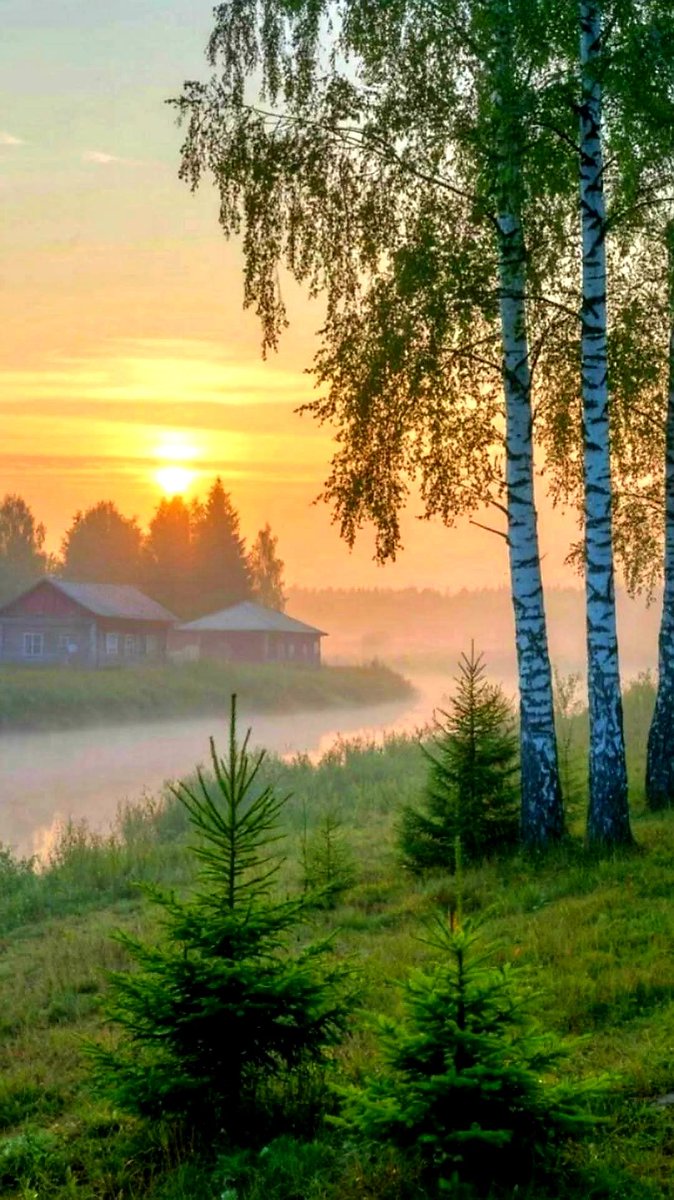 ElennaVolkovsk1's tweet photo. A magical peaceful morning to everyone, with tender moments, positive thoughts, pieces of dreams about the best... 
 May all these hopes and hopes come true!... 
  ♥️🕊☕ https://t.co/osHYzuxgil