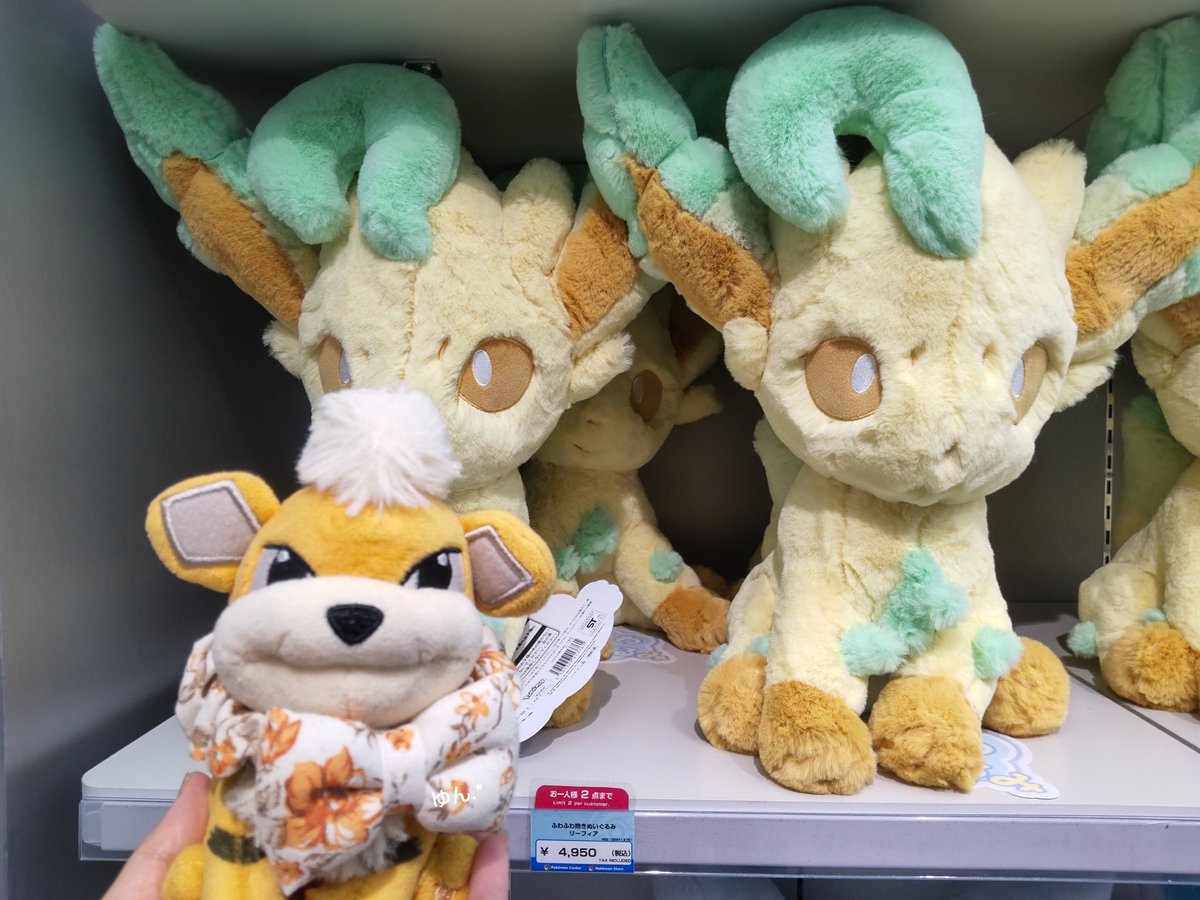 ポケセン楽しかったね こたろ♡
最近発売したふわふわのリーフィア可愛かったなぁ🥺
ニンフィアは売り切れでグレイシアは後4体ぐらいだった！
やっぱりブイズは人気だなぁ🥰
こたろ また行こうねっ✨
#ポケモンfit
#ポケセン
#ポケモンセンターナゴヤ