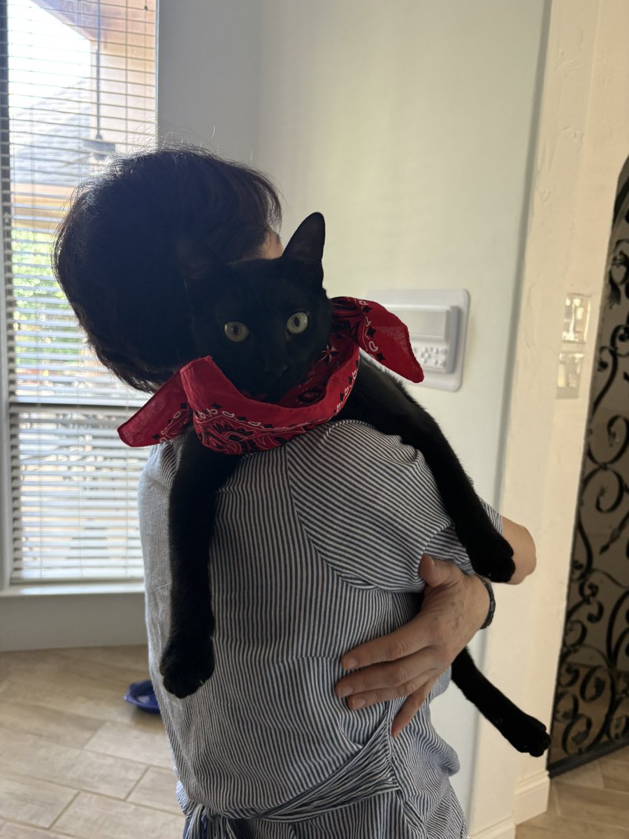 Daniel Goldberg (@1humano1voto) on Twitter photo 