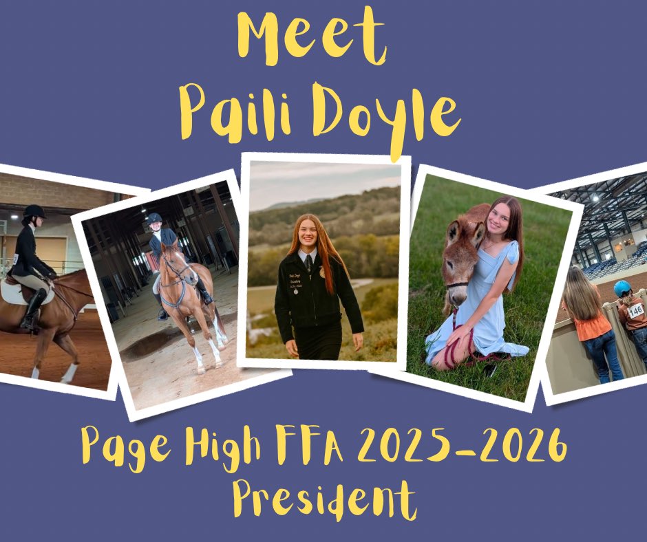 Page High FFA tweet media