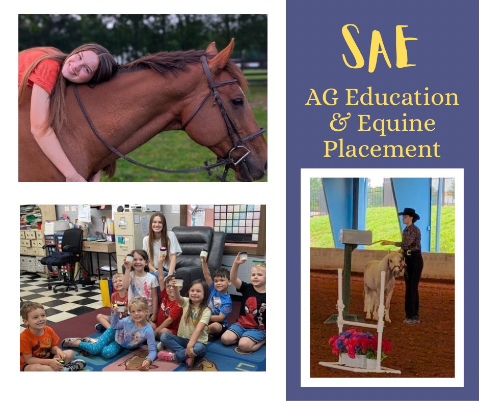 Page High FFA tweet media