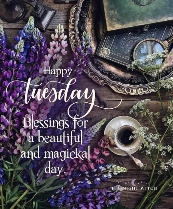 GrannyMooninVA's tweet photo. Have a Magickal Tuesday, WItchy People!✨✨✨ https://t.co/oQolnm9hHk