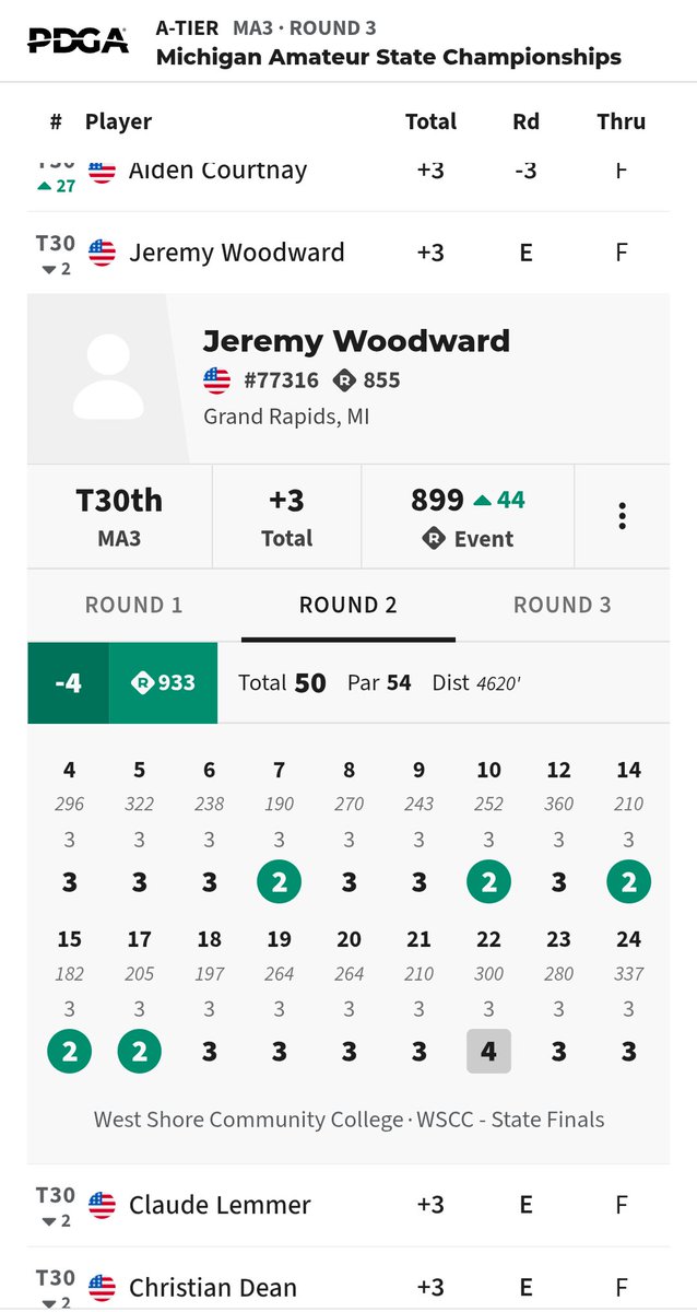 WoodyDiscsMI tweet media