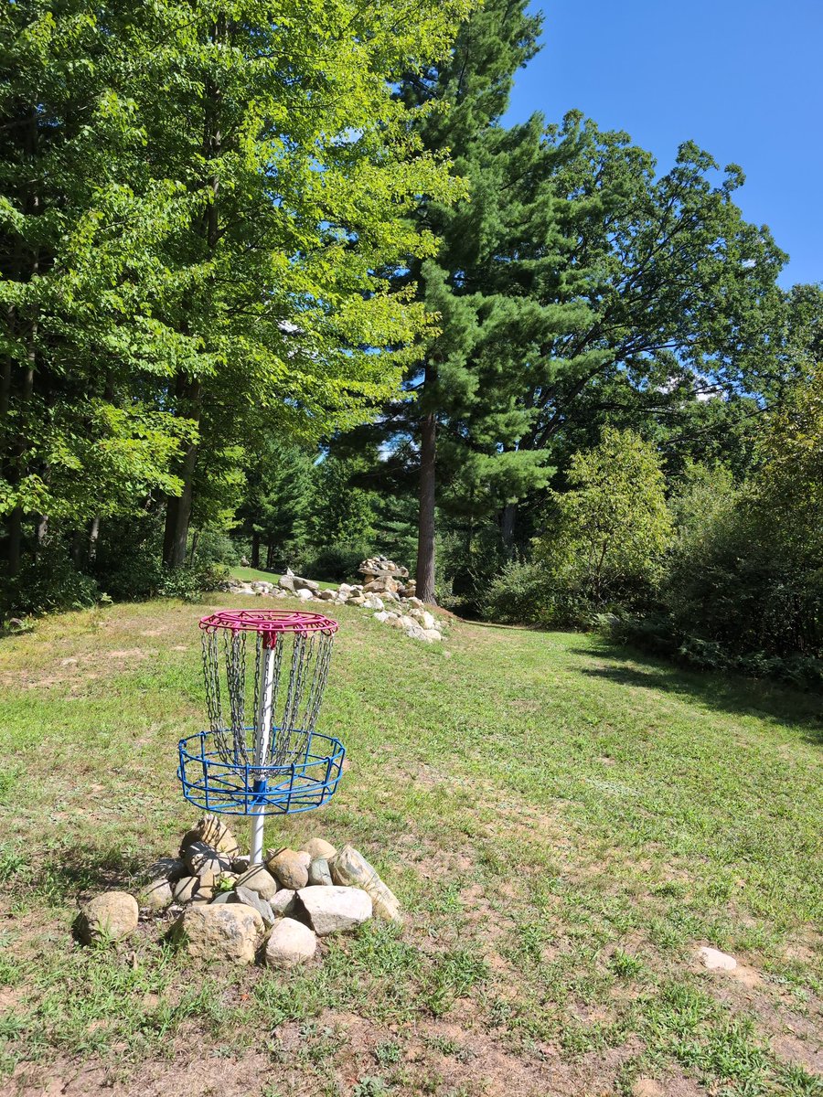 WoodyDiscsMI tweet media