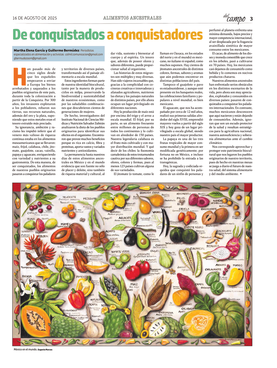 Maíz, frijol, calabaza, chile, jitomate, guajolotes, cacao, vainilla, papaya y aguacate, entre otros, fueron las plantas y animales que los conquistadores se llevaron de este territorio, enriqueciendo
con variedad y nutrientes a su gastronomía.

"De esta manera, de ser