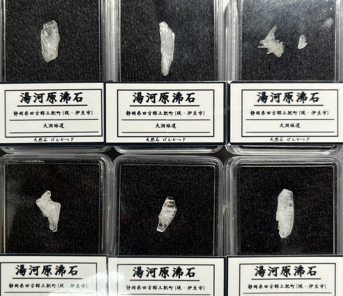 稀少な湯河原沸石、9月鉱物デーにて均一価格で販売いたします。