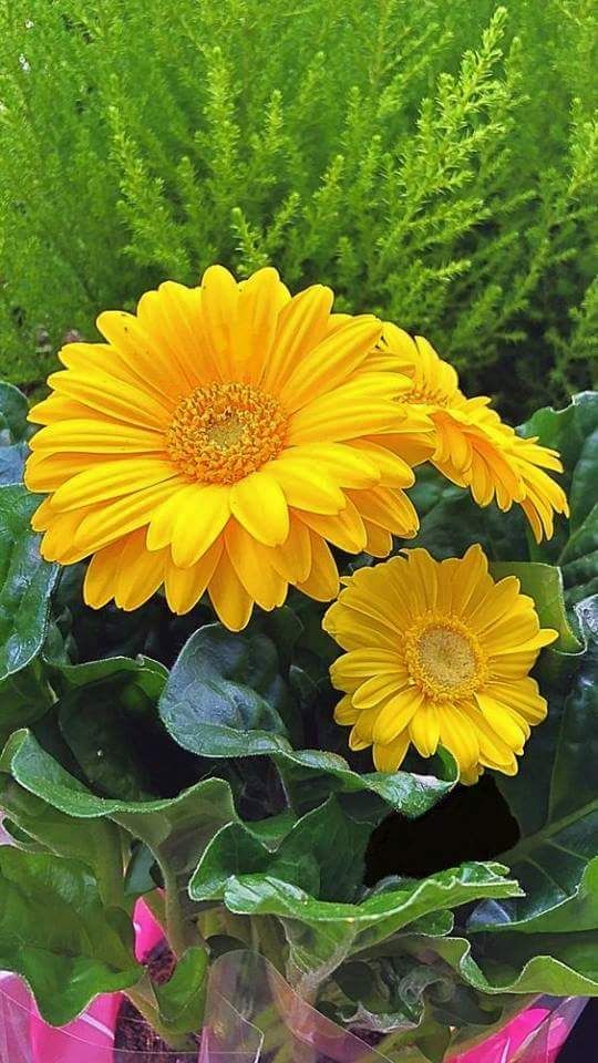 Nature Escape (@escape056) on Twitter photo 