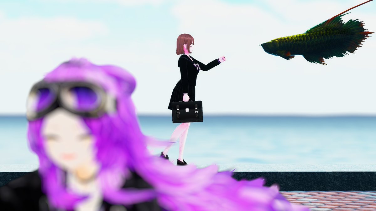 くろねこ！ 黒猫のクロ on X: 