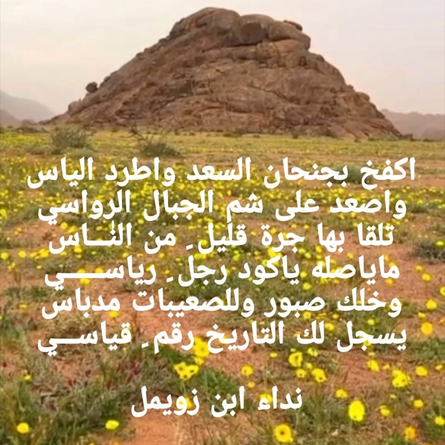 نداء بن زويمل (@nn_zwimel) on Twitter photo 