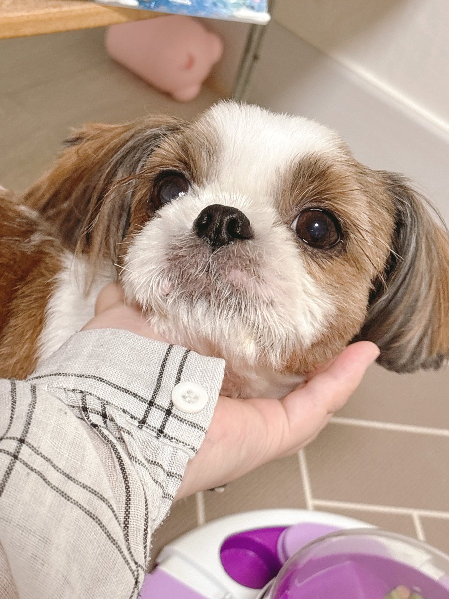 어제 씻고 오늘 웅마 출근 전에 시간 남아서 덜 긁으라고 모닝 미스트 시간 가진 가나지