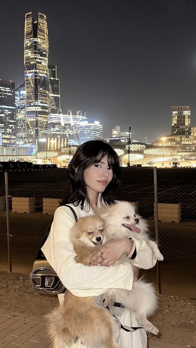 حور🐈‍⬛ (@nana_almeow) on Twitter photo 