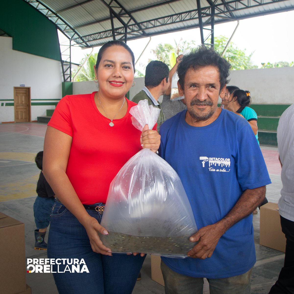 🐟✨ La Prefectura de Orellana, entregó alevines de tilapia roja y negra junto con balanceado inicial y de crecimiento, a 21 familias de la comunidad Flor del Bosque de la zona 5 y 6, del cantón La Joya de los Sachs.

#ProducciónPiscícola #Orellana #SeguridadAlimentaria