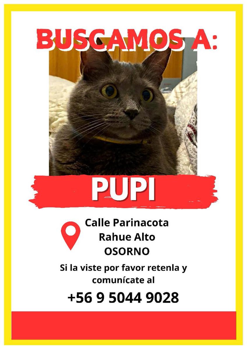 PaoAleAlejandra's tweet photo. #Osorno RT por favor 🙏 https://t.co/axGv9PRzqb