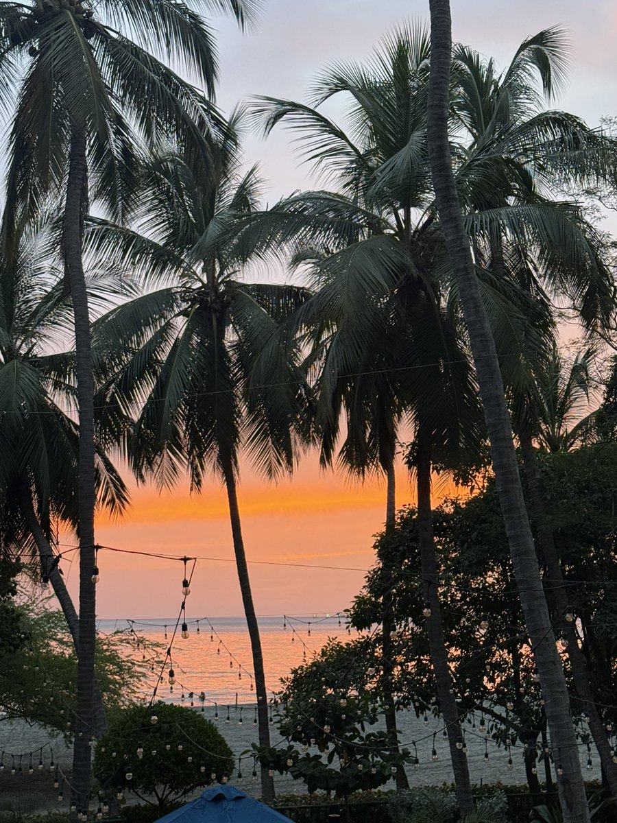 Just back from the XV Colombian Symposium on Movement Disorders in Santa Marta. Honored to give a lecture and connect with so many colleagues. A high-level event with a truly warm welcome – thank you for everything! <a href="/movedisorder/">MDS</a>