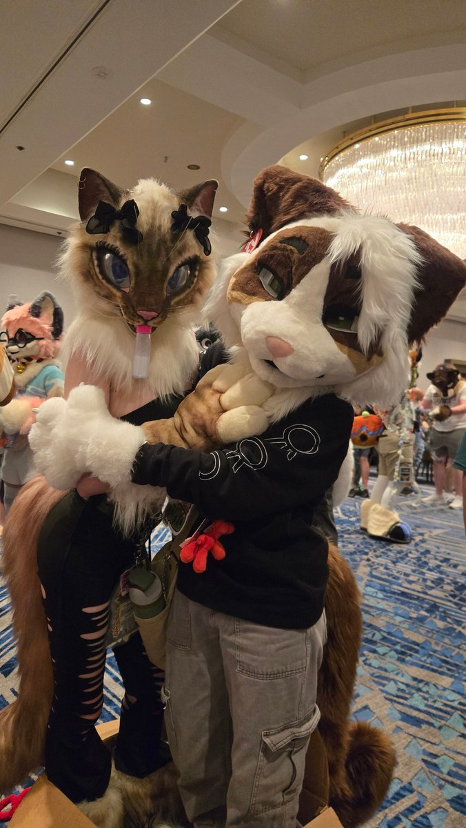 2 pretty kitties