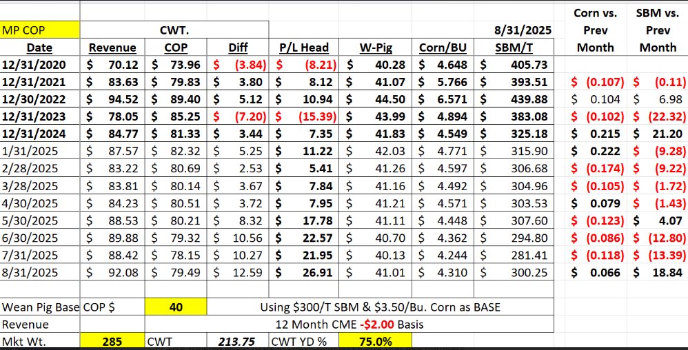 Mike Porth tweet media