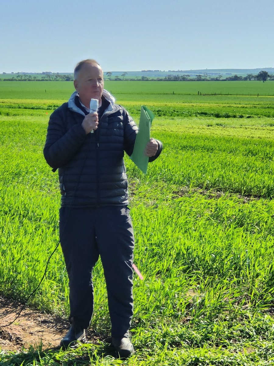 #SADGACropwalk kicks off at Hart with <a href="/HughWallwork/">Hugh Wallwork</a> detailing the crownrot story and the positive research outcomes