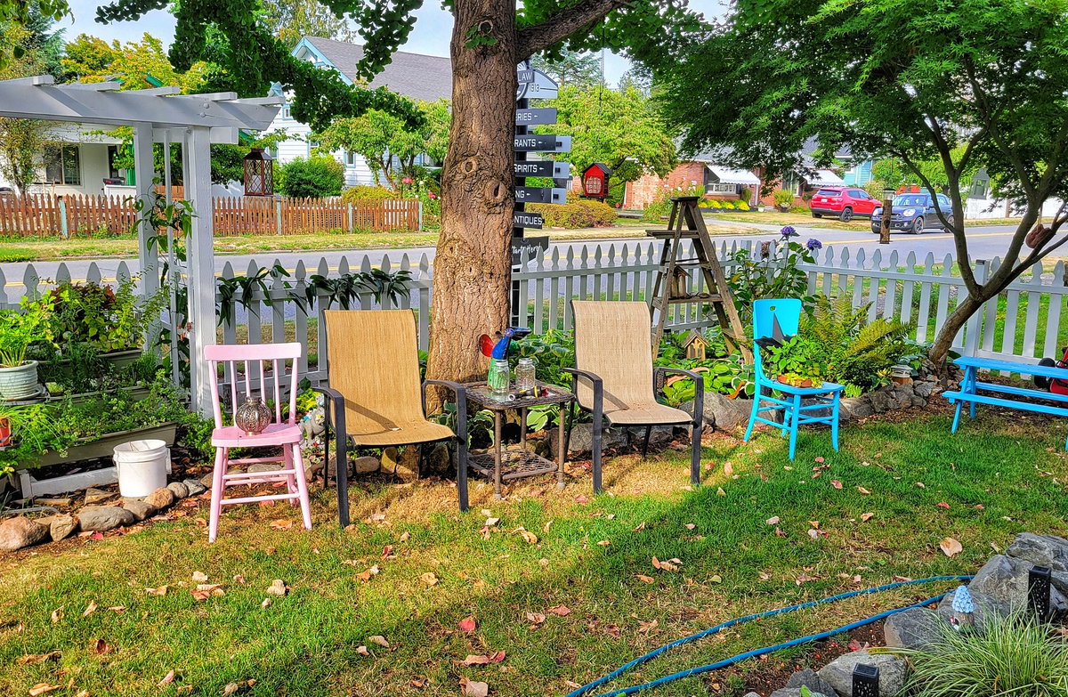 NatHeathirPhoto's tweet image. Fall vibes in my yard today.  68° right now and last night, we got 0.01 inches of rain.  #SeptemberVibes
#WAwx #pnw #Enumclaw #HeathirsWeather