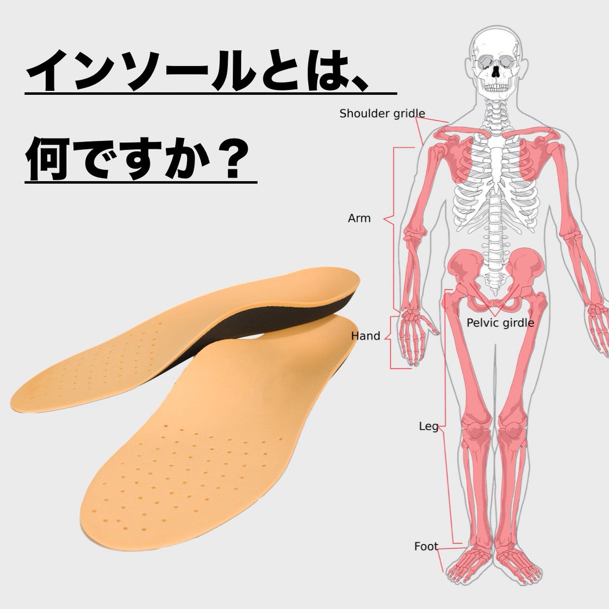 あなたにとって「インソール」とは？👟✨
クッション？🛋️ 衝撃吸収？💥
実は一番大事なのは…
👉 足を本来の形に戻すこと！

柔らかさより、必要な部分を支える“硬さ”💪
それが本物のインソールです。

#インソール #足の健康 #靴選び