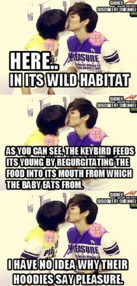 Millennial Shinee Daily (@millennial5inee) on Twitter photo 