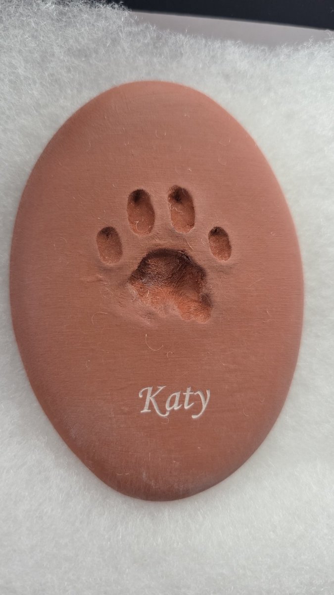 𝚒𝚕𝚕𝚢❗️ 𝚗𝚘𝚝 𝚕𝚒𝚕𝚕𝚢 tweet media