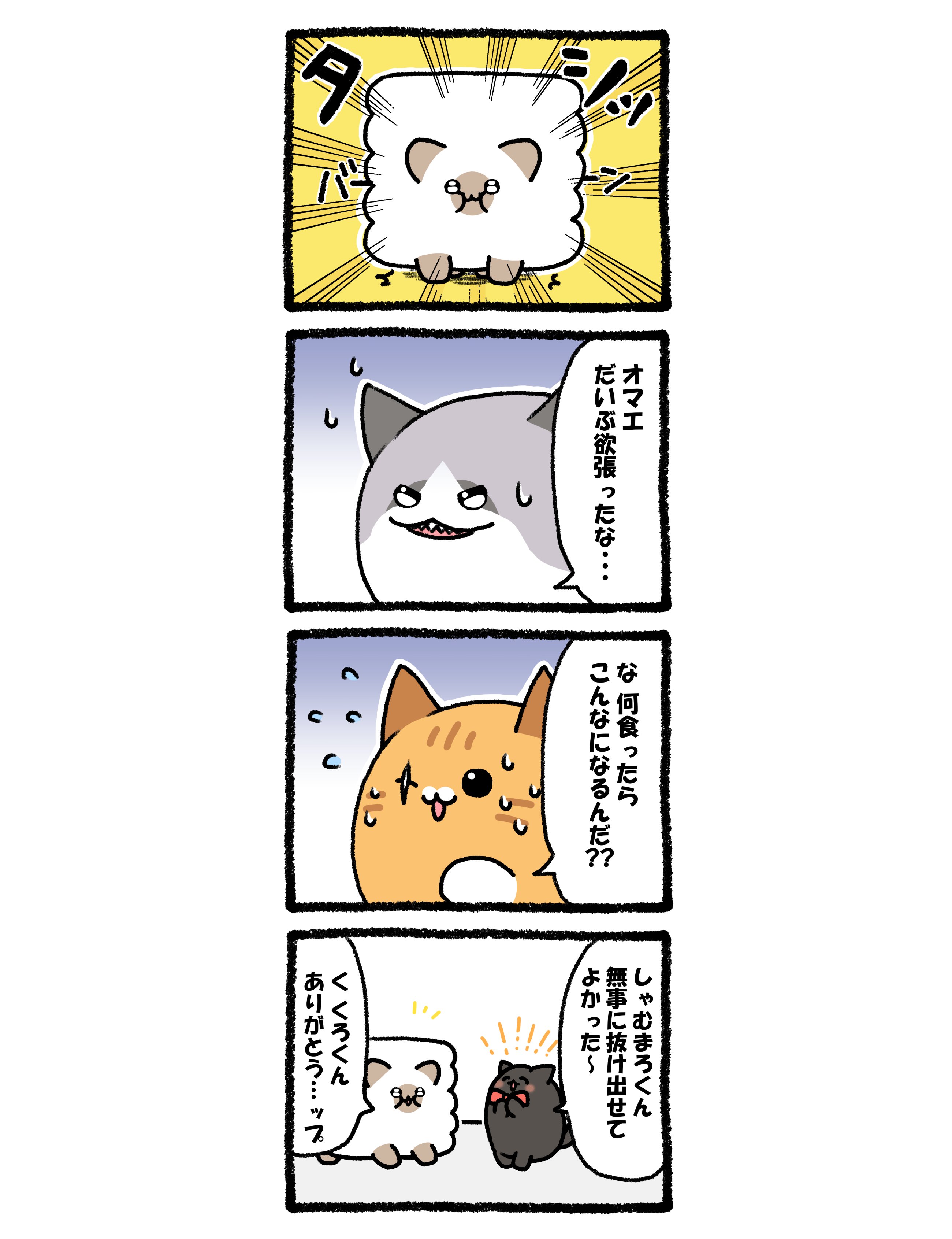 しゃむ (@syamu0w0) / X