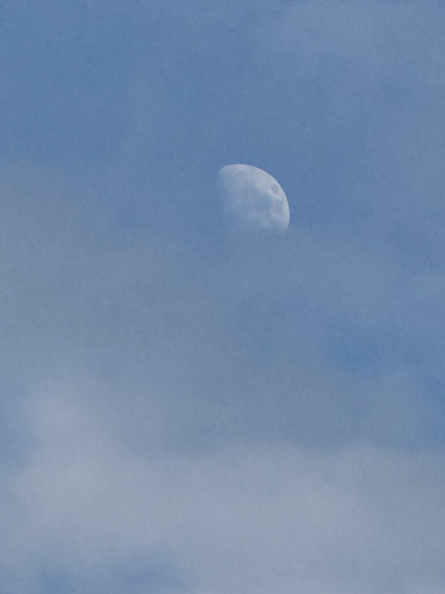 ɪᴛs ᴛʜᴇ ᴍᴏᴏɴ!!!!