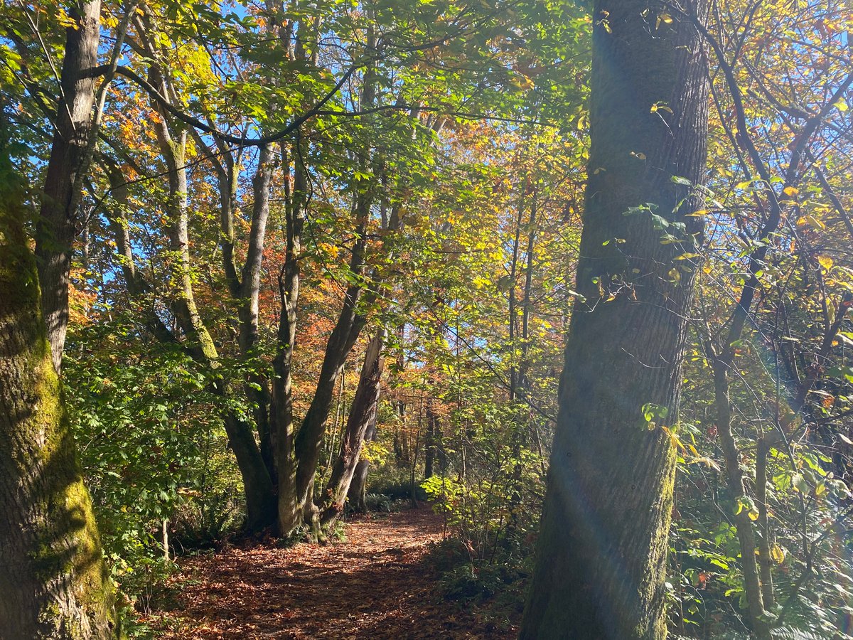 A big thank you to the Fish &amp; Wildlife Compensation Program for their support of us via the Community Engagement Grant.

This support will allow us to further our Respectful Recreation campaign. More details to come, stay tuned!