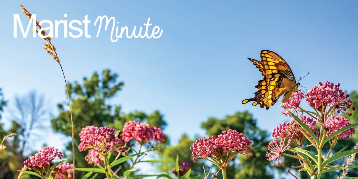 How has your spirituality evolved as you have grown older?
buff.ly/Il5y45d
You might find a quiet moment today to ponder this Marist Minute bit.ly/40MGgVV
Previous editions buff.ly/vv9QSsm 
#wemarists #maristformation #staroftheseaprovince