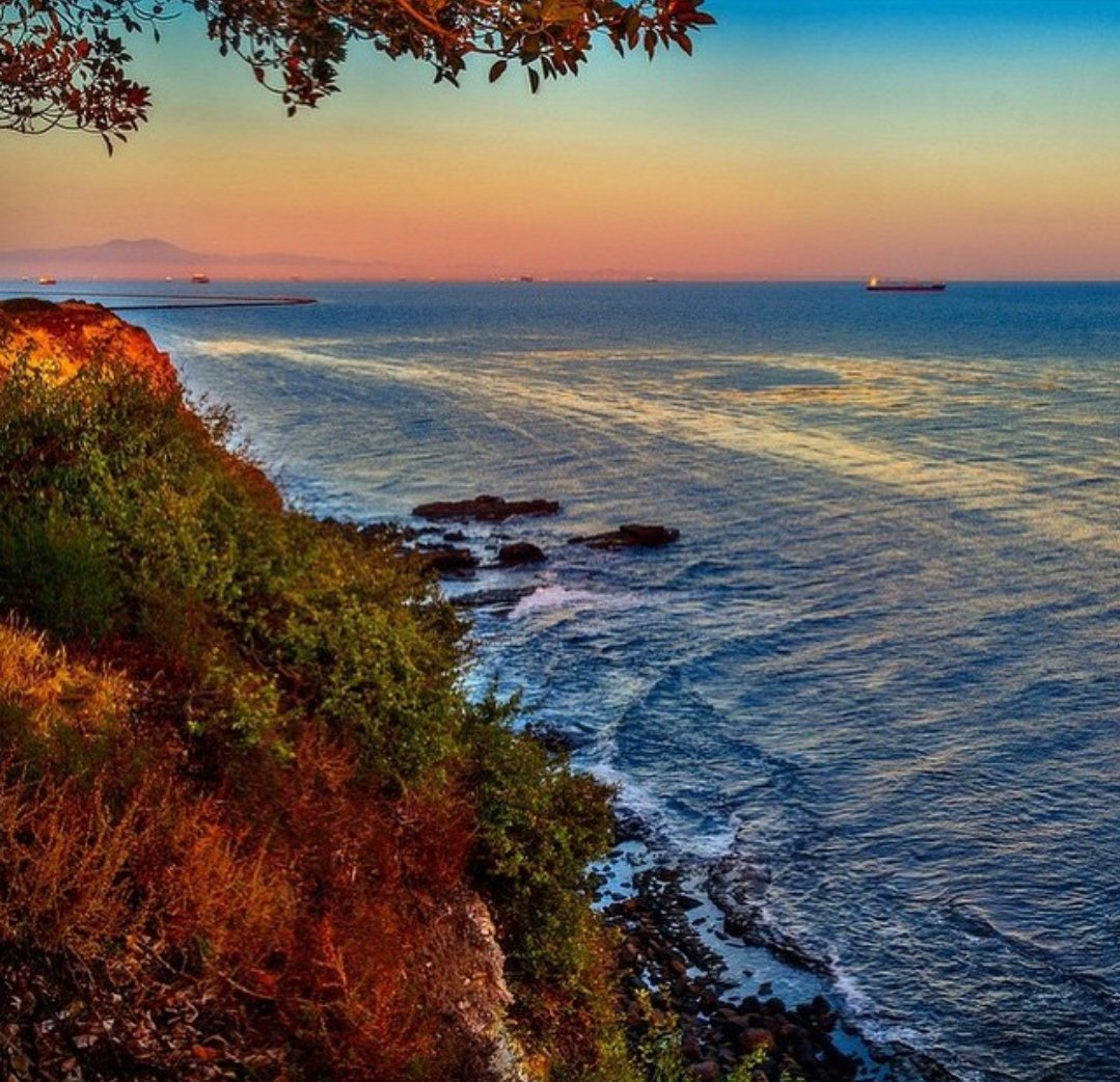 1NATIONGG's tweet image. #WhereIComeFrom
#DroCity
#HarborArea
#WestCoastLove
#DubsUp
#ThePacific
#RoyalPalms