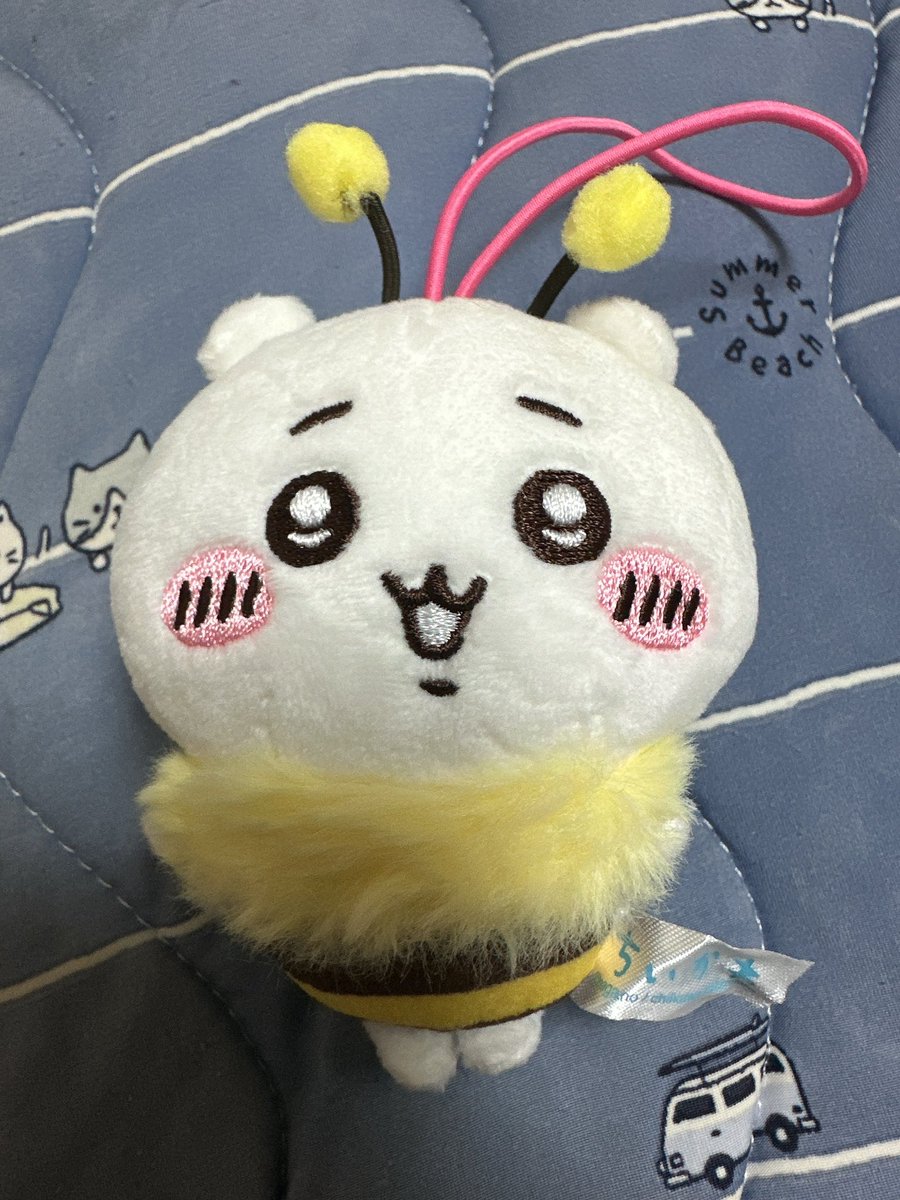 3104aya's tweet photo. 【交換】ちいかわ ハチさんぬいぐるみ 

【譲】ちいかわ

【求】うさぎ

都内手渡しもしくは郵送でも構いません！
検索からでもお気軽にお声がけください☺️ https://t.co/CQnFydVPCL