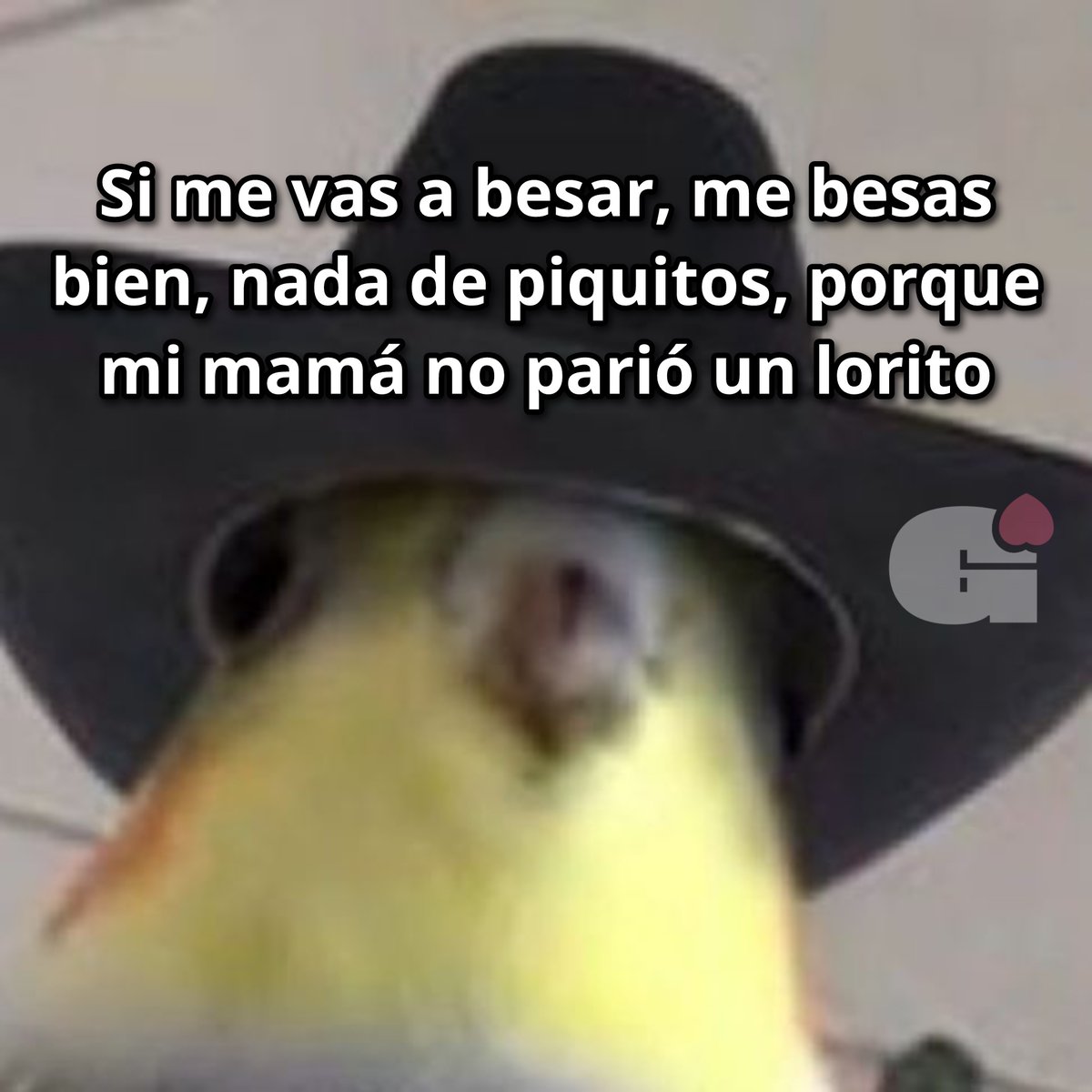 El Guarromántico tweet media