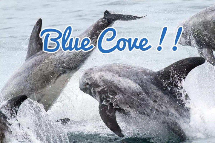 Kunito Seko tweet media