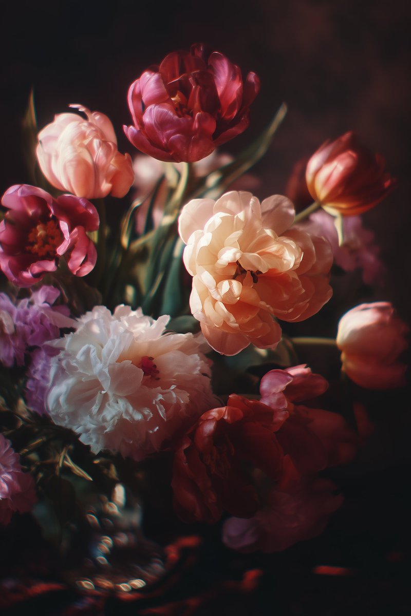 Flowers (@dailyflowersx) on Twitter photo 